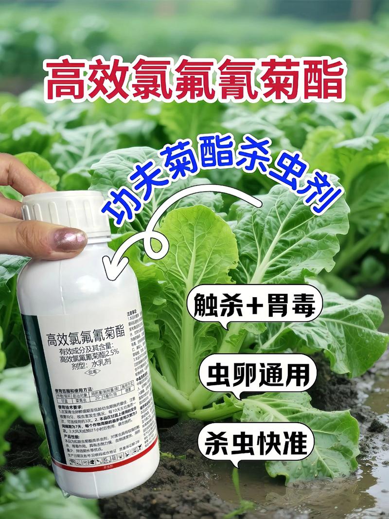 金华代生中心:农药对供卵代生妈妈的危害